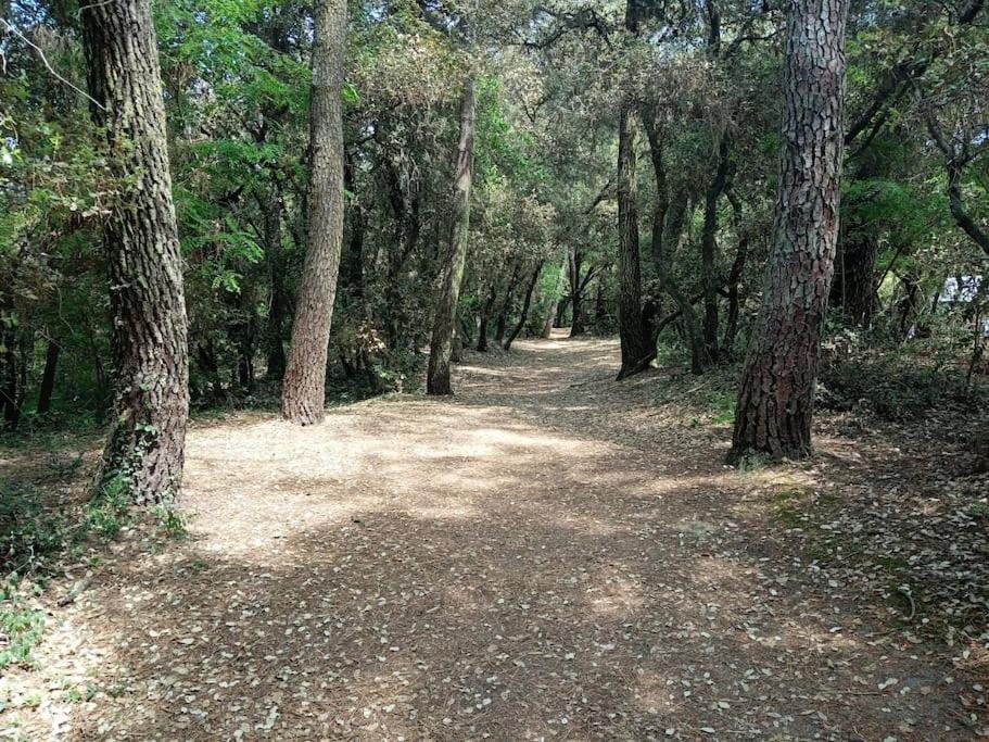 Studio Au Coeur Du Golf De Port Bourgenay, Proche Des Sables D'Olonne Talmont-Saint-Hilaire المظهر الخارجي الصورة