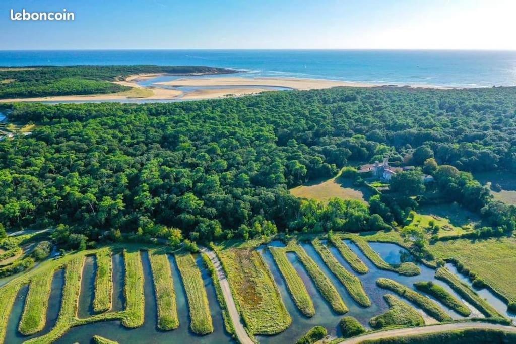 Studio Au Coeur Du Golf De Port Bourgenay, Proche Des Sables D'Olonne Talmont-Saint-Hilaire المظهر الخارجي الصورة